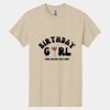 Heavy Cotton 100% Cotton T Shirt Thumbnail